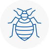 Bed Bug Extermination In Woodley