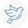 Bird Prevention Woodley