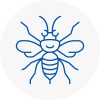 Woodley Hornet Nest Removals