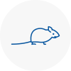 Mice Exterminators In Woodley