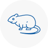 Rat Control Woodley