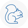 Woodley Rodent Removals