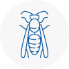 Woodley Wasp Nest Removal